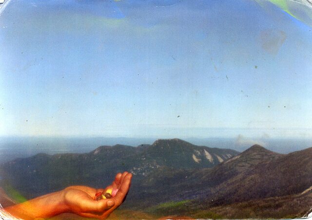 Card #16 – Abundant Universe