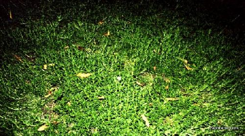 Card #222 – Accepting Isolation