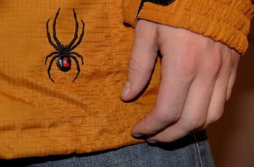 Acknowledging the Dark Side of Human Nature