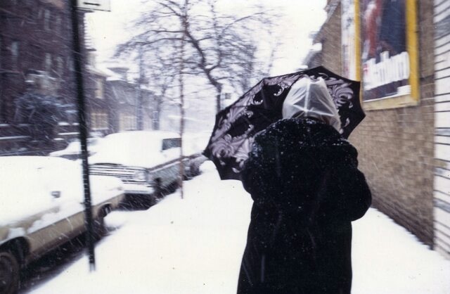 Card #36 – Adaptation