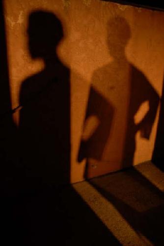 Card #355 – Aspects of the Self