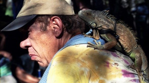 Awakening from Depression