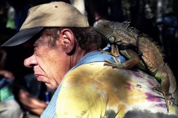 Card #305 – Awakening from Depression