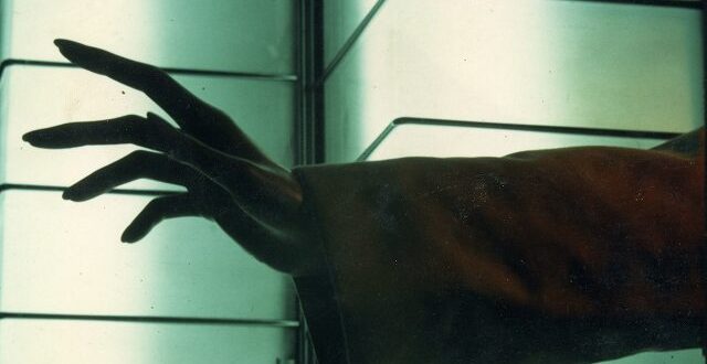 Beware the Hollow Folk