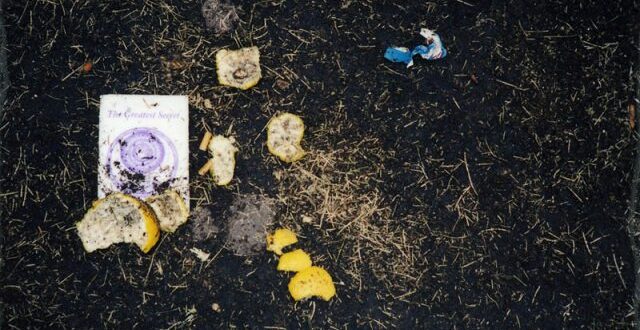 Casting  Pearls Before Swine