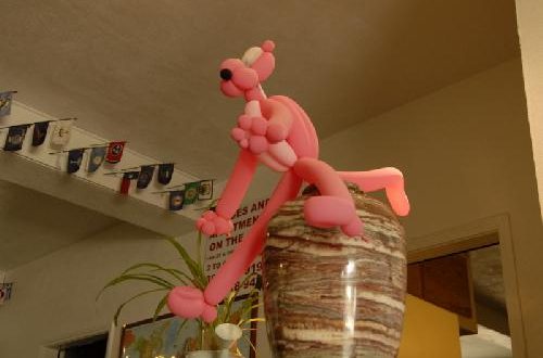 Catch the Cosmos Doing Something Right