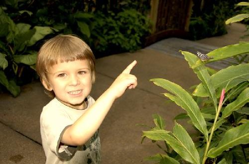 Catch the Cosmos Doing Something Right