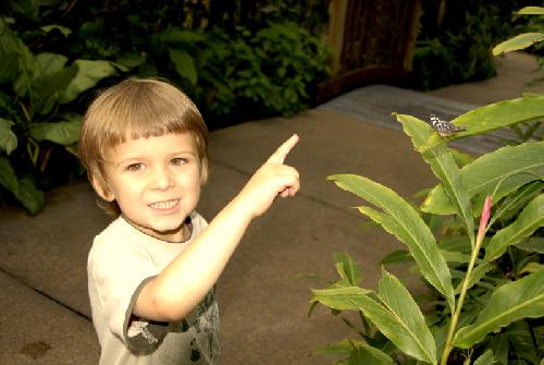 Card #552 – Catch the Cosmos Doing Something Right