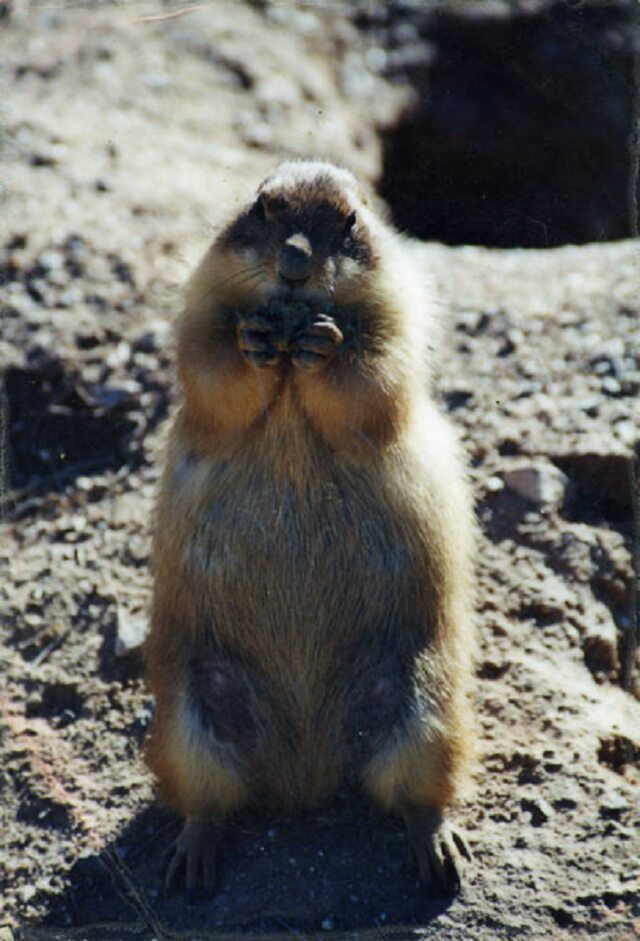 Card #94 – Centered