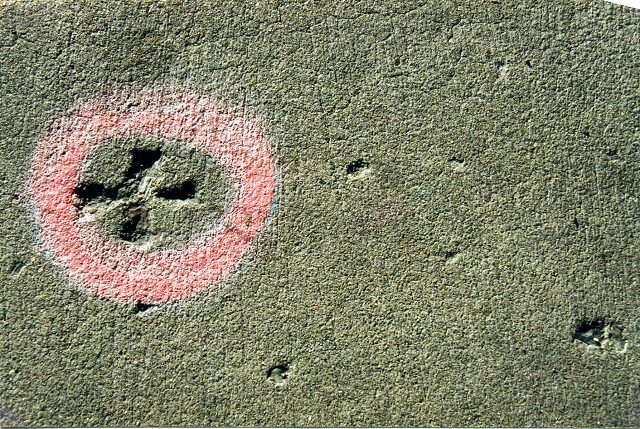 Card #19 – Centered