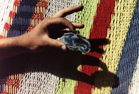 Card #236 – Chameleon