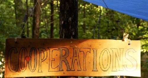 Card #366 – Cooperative Interdependence