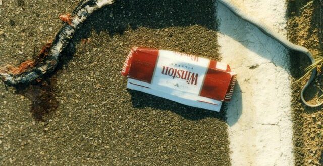 Dead End Reptilian Addictions