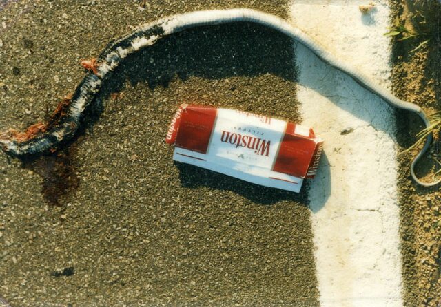 Card #273 – Dead End Reptilian Addictions