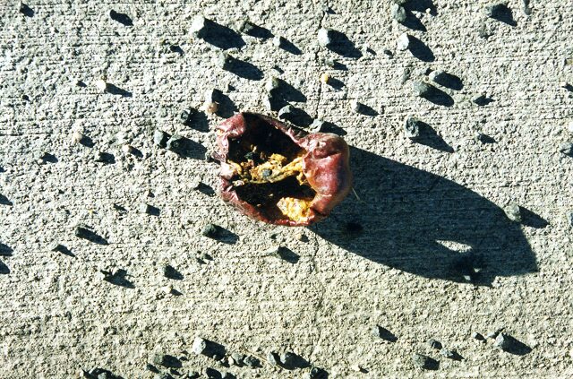 Card #45 – Decay is Natural