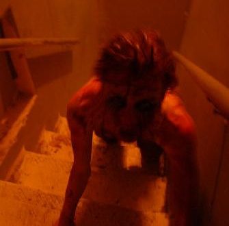 Don't let a Thorn in your Side Become a Splinter in your Mind