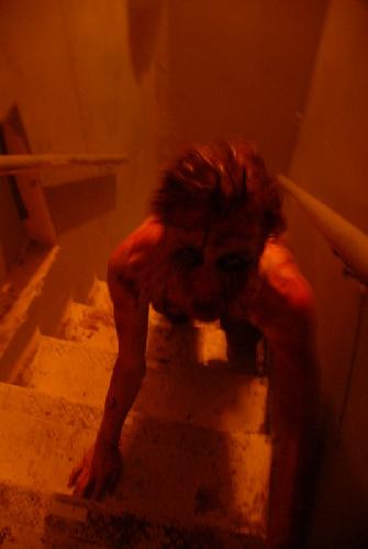 Card #531 – Don’t let a Thorn in your Side Become a Splinter in your Mind