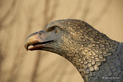 Card #590 – Eagle Eye