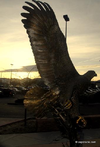 Card #591 – Eagle Stance