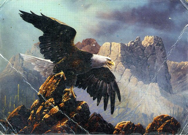 Card #185 – Eagle Stance