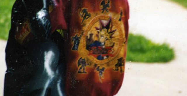 Embracing your Shadow and Inner Child.