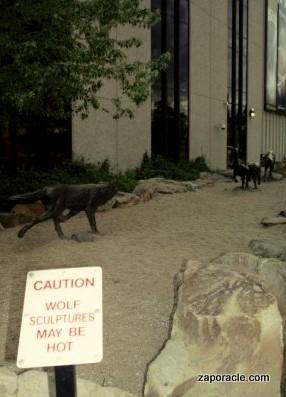 Card #303 – Excess Caution