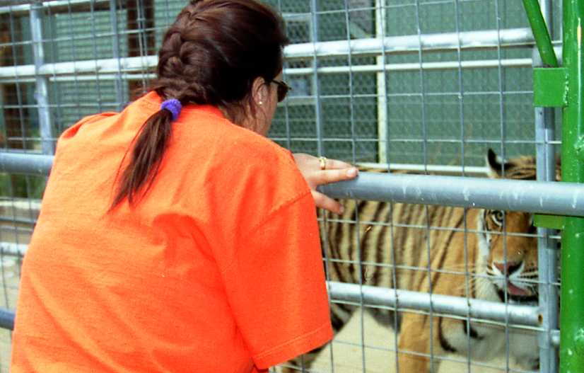 Card #345 – Facing Down Your Fears