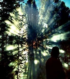 Finding Your Way Through the Fog