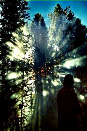 Card #402 – Finding Your Way Through the Fog