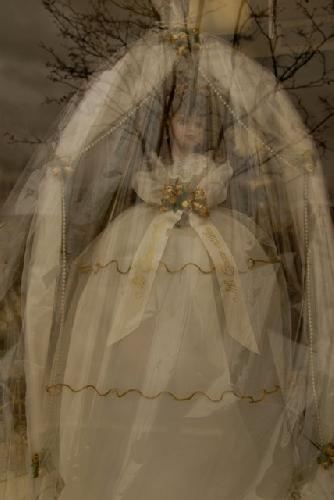 Card #408 – Frozen by Romantic Fantasies