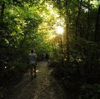 Going Toward the Light