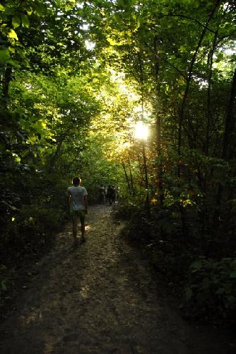 Card #377 – Going Toward the Light