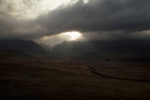 Card #365 – Going Toward the Light