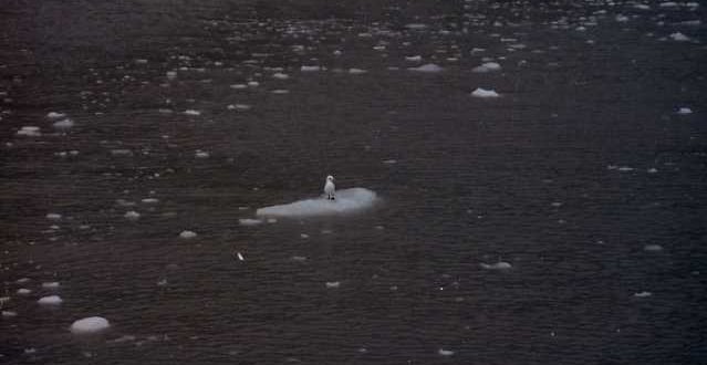 Iceolation of the Conscious Self