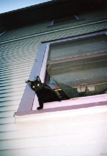 Card #437 – If In Doubt, Focus Out