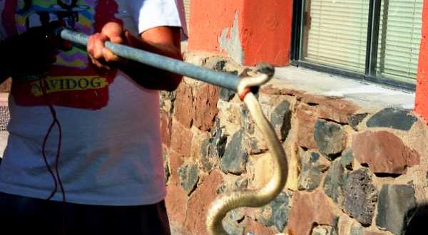 Keeping your Distance