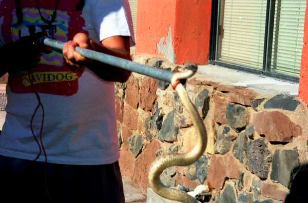 Card #326 – Keeping your Distance