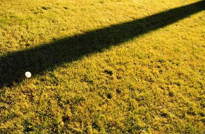 Card #12 – Light and Dark are Interrelated Elements