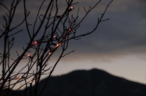 Lights Through the Veil of Darkness