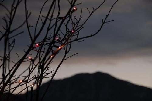 Card #467 – Lights Through the Veil of Darkness