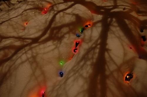 Lights Through the Veil of Darkness