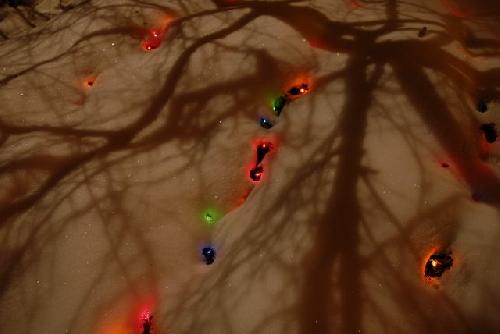 Card #466 – Lights Through the Veil of Darkness