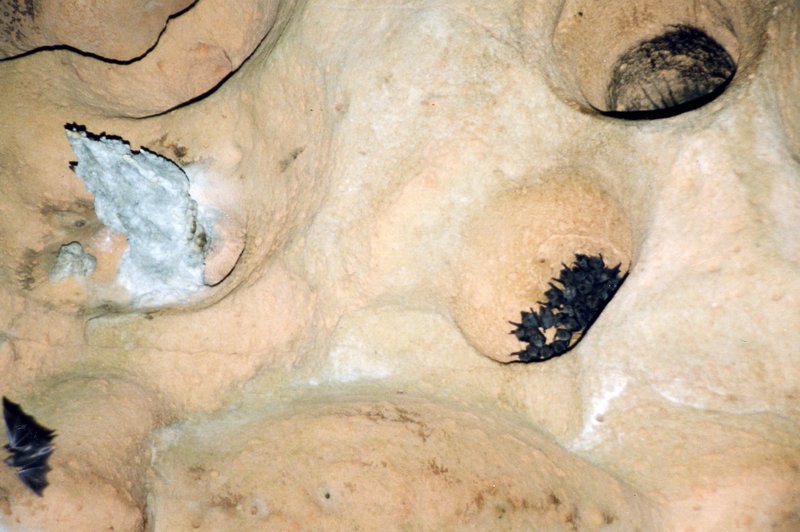 Card #7 – Look Beneath the Surface