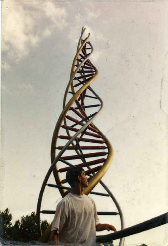 Card #274 – Looking Toward your Essence