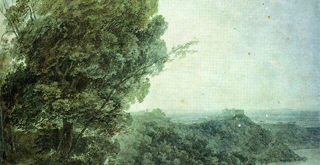 Looking toward the Future