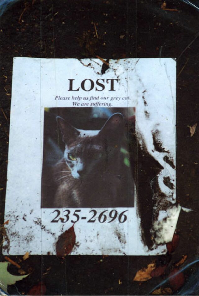 Card #269 – Loss, Abandonment Fear