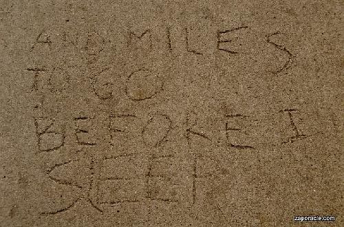 Miles to Go Before You Sleep -- Protecting your Life Drive and Will to Live