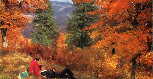 Naive Romantic Relations