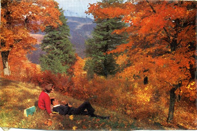 Card #198 – Naive Romantic Relations