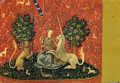 Card #204 – Narcissistic Trap